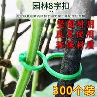 Cucumber Tomato Bean Vine Climbing Plant Support Clips for Garden Green Plants Vegetables
