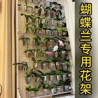 Orchid Plant Stand with Wheels, Grid Trellis for Indoor Balcony, Hanging Storage, Mobile Floor-Standing