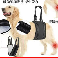 Upgraded Pet Dog Walking Aid Harness for Injured or Elderly Dogs