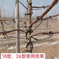 Fruit Tree Branch Spreader and Fixer for Apple and Cherry Trees, Branch Bender and Training Clip