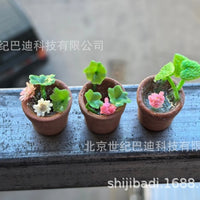Miniature Potted Succulent Plants for Dollhouse & Micro Landscape Decor