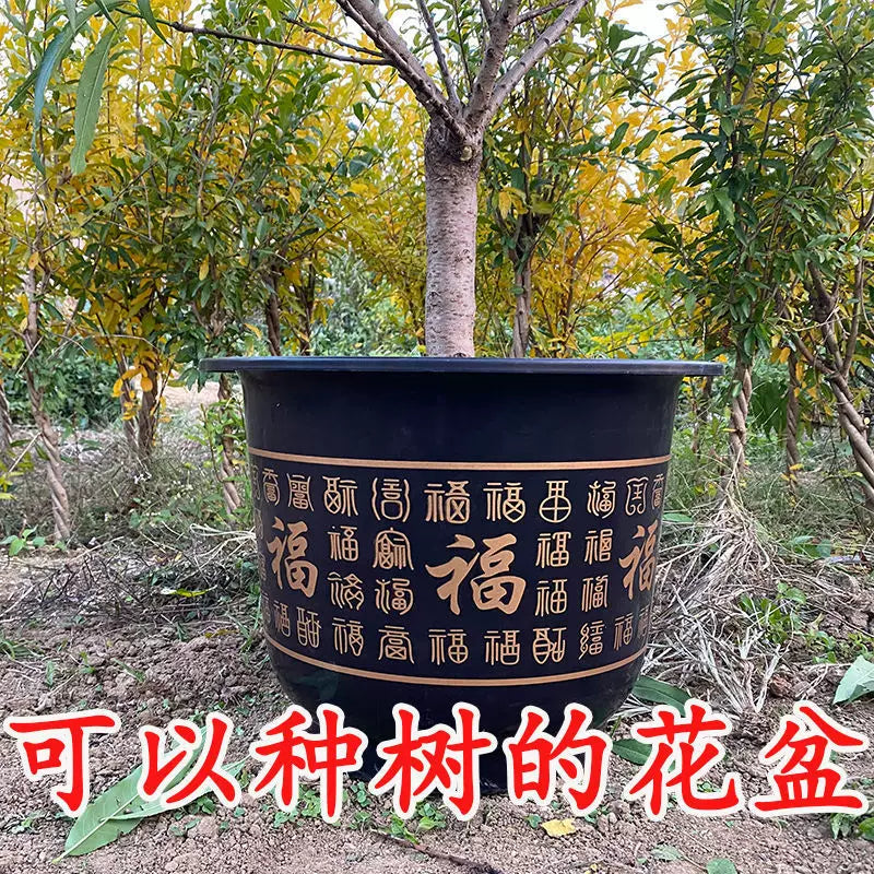 Extra Large Thickened Resin Planter for Trees and Vines, UV Resistant Outdoor Plant Pot