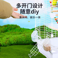 Large Luxury Bird Cage for Parrots, Cockatiels, Peonies, and Pearl Birds