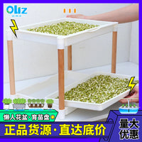 Hydroponic Seedling Tray with Stand for Soilless Cultivation