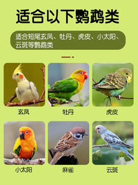 Silent Running Wheel Toy for Parakeets and Small Birds, Stress Relief and Enrichment