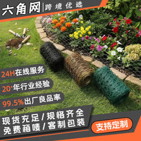 PVC Coated Hexagonal Wire Mesh for Garden Fencing and DIY Crafts