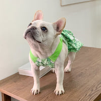 Pet Rabbit Print Cotton Dress for Small to Medium Dogs and Cats