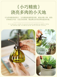 Vintage Glass Plant Mister Spray Bottle for Indoor Gardening and Succulents