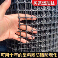 Durable Plastic Poultry Fencing Mesh for Gardens and Farms