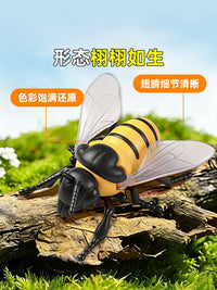 Wind-Up Crawling Insect Toys for Kids - Beetle, Bee, Grasshopper Models