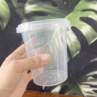 Clear Orchid Pot with Root Control, Breathable Slotted Design for Phalaenopsis and Epiphytes