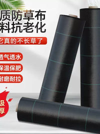 Heavy-Duty Weed Barrier Fabric for Orchards and Gardens, Permeable and Moisture-Retaining Ground Cover