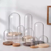 Acrylic Display Case with Wooden Base for Collectibles and Figurines, Dustproof Round Clear Showcase