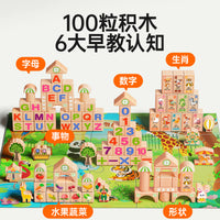 Wooden Building Blocks Set for Toddlers, Educational Large Particle Construction Toy for Boys and Girls 1-3 Years Old