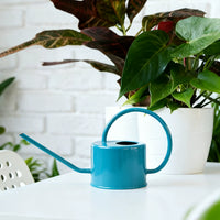 Long Spout Watering Can for Indoor Plants, Metal Watering Pot for Succulents and Small Potted Plants