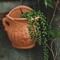Wall-Mounted Terracotta Planter for Succulents and Hanging Plants