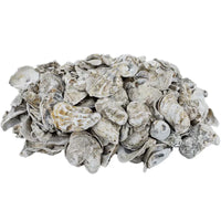 Natural Polished Oyster Shell Filter Media for Koi Ponds & Aquariums - Bio-Filter & Water Clarifier