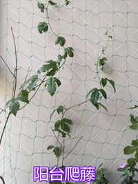 Heavy-Duty Nylon Trellis Netting for Climbing Plants, Grapes, Cucumbers, and Morning Glories - Garden Support Net