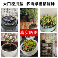 Ceramic Succulent Planter Pot with Wide Mouth for Indoor and Outdoor Plants
