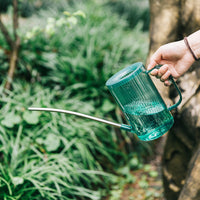 Stainless Steel Long Spout Watering Can for Indoor Outdoor Plants