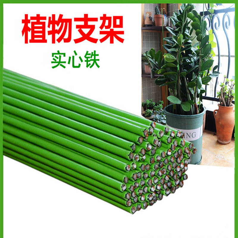 Plant Support Stakes and Accessories for Potted Plants and Climbing Vines