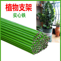 Plant Support Stakes and Accessories for Potted Plants and Climbing Vines
