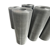 Galvanized Welded Wire Mesh for Plastering and Wall Insulation, Anti-Crack Reinforcement