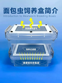 Insect Breeding Box for Reptiles, Spiders, Hamsters, and Birds - Mealworm and Beetle Cultivation