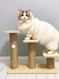 Solid Wood Cat Climbing Ladder for Old Cats and Small Dogs, Multi-level Cat Tree Steps and Jumping Platform