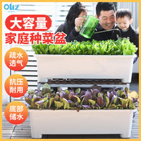 Oulinze Self-Watering Rectangular Planter for Vegetables and Strawberries, Large Capacity Plastic Grow Box