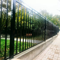 Wrought Iron Fence Panel for Villas, Schools, and Outdoor Security