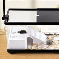 Turtle Basking Platform with Integrated Filter and Ramp for Aquarium