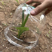 Plant Greenhouse Cover Breathable Seedling Insulation Transparent Garden Frost Protection