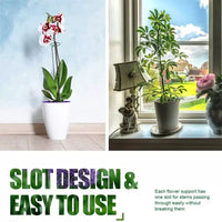 Plant Support Stakes for Potted Flowers, Orchid, Amaryllis - Rust-Resistant Coated Iron Garden Plant Support