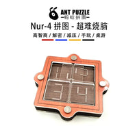Wooden Brain Teaser Puzzle for Adults and Kids, Multi-layer 3D Interlocking Logic Game