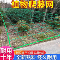 Plant Trellis Netting for Climbing Vegetables and Fruits, Garden Support Mesh for Cucumber, Loofah, Passion Fruit