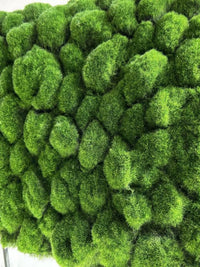 Artificial Moss Turf Mat for Plant Wall & Landscape Decor