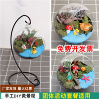 DIY Moss Terrarium Kit with Glass Bottle for Micro Landscape Decor