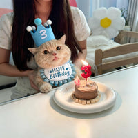 Cat Birthday Hat and Bib Set for Pets, Decorative Scarf and Hat for Photo Props