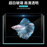 Crystal Clear Glass Aquarium for Betta Fish, Goldfish, and Aquatic Plants, Desktop Turtle Tank