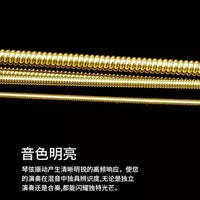 Acoustic Guitar Strings Set - Brass Wound Steel Core