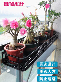Multi-Tier Iron Balcony Railing Planter Rack for Succulents and Potted Plants