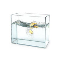Acrylic Deep Water Tank Transparent Display Box for Aquatic Environments