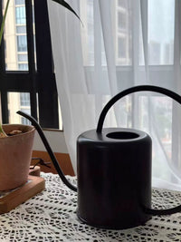 1.5L Vintage Iron Long Spout Watering Can for Indoor Outdoor Plants