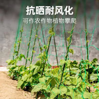 Plant Trellis Netting for Climbing Vegetables and Fruits