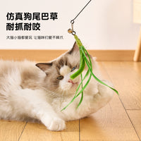 Cat Teaser Wand with Suction Cup Base and Feather/Foxtail Attachments