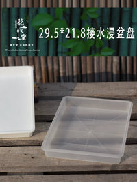 Rectangular Plastic Drip Tray / Seedling Tray for Succulents and Plants