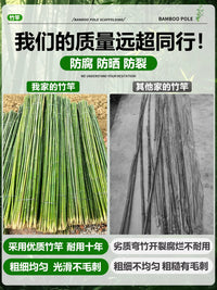 Garden Climbing Plant Support Stakes Bamboo Poles for Vegetables Beans Cucumbers Outdoor Fence Trellis