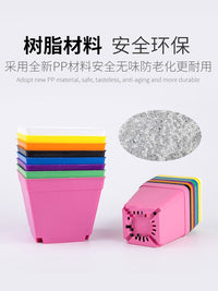 Colorful Plastic Succulent Planters with Trays - 10cm Square Nursery Pots for Seedlings