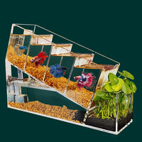 Acrylic Self-Circulating Desktop Betta Fish Tank with Multi-Grid Isolation and Filtration